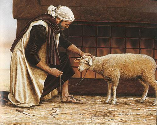 the-lamb-illustration-1.jpg